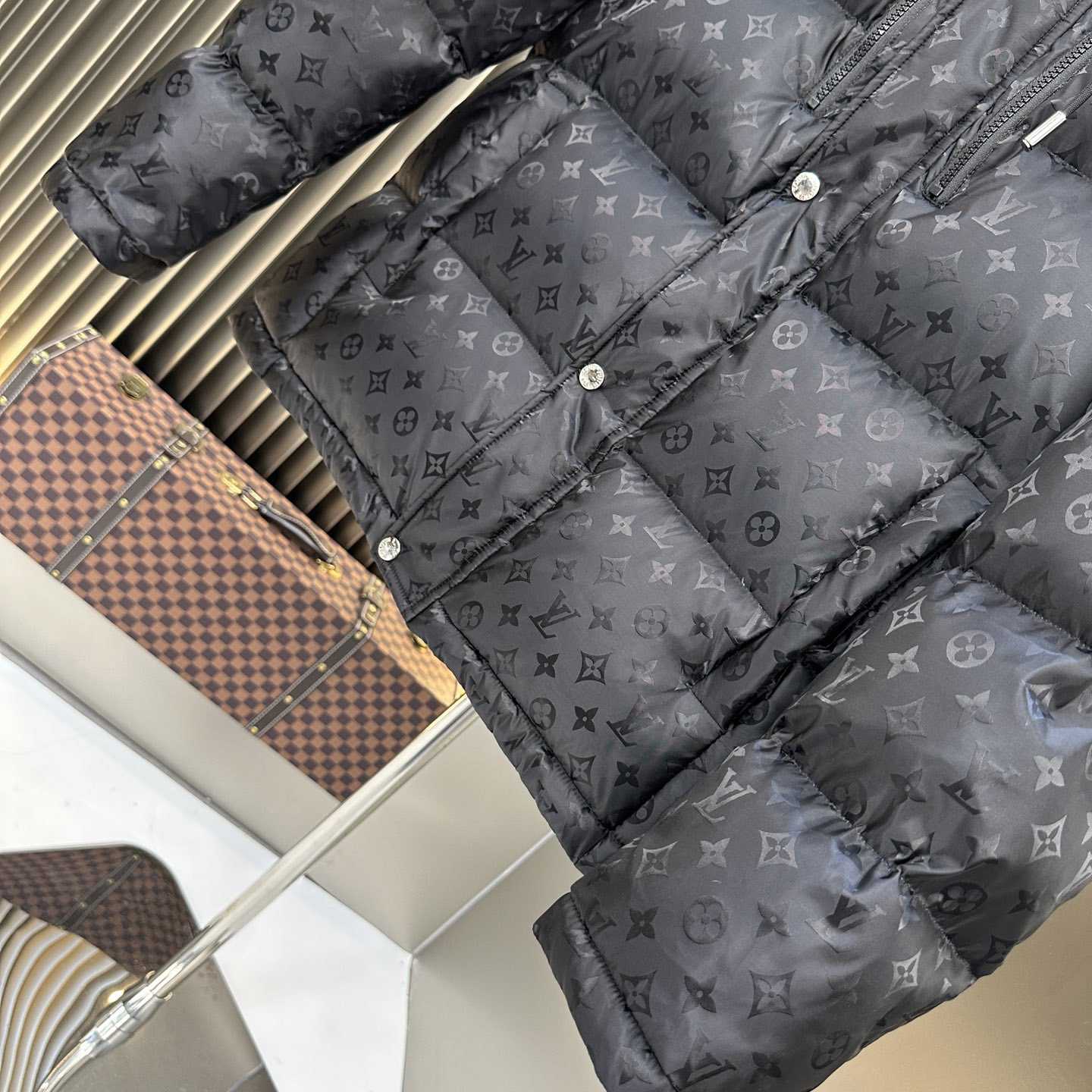 Louis Vuitton Monogram Down Jacket - EUR FASHION