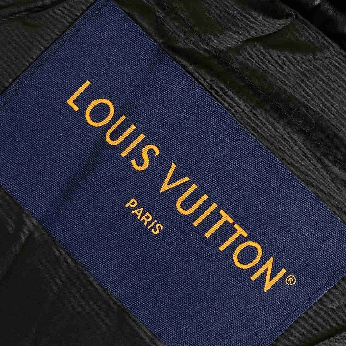 Louis Vuitton Down Blouson - EUR FASHION