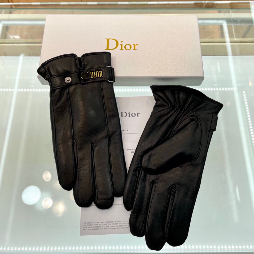 Dior Gloves  - EUR FASHION