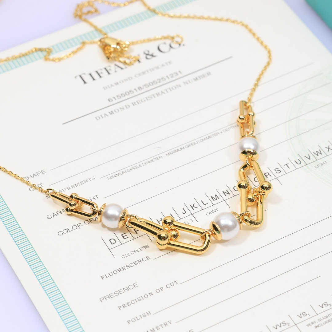 Tiffany & Co. Link Necklace - EUR FASHION