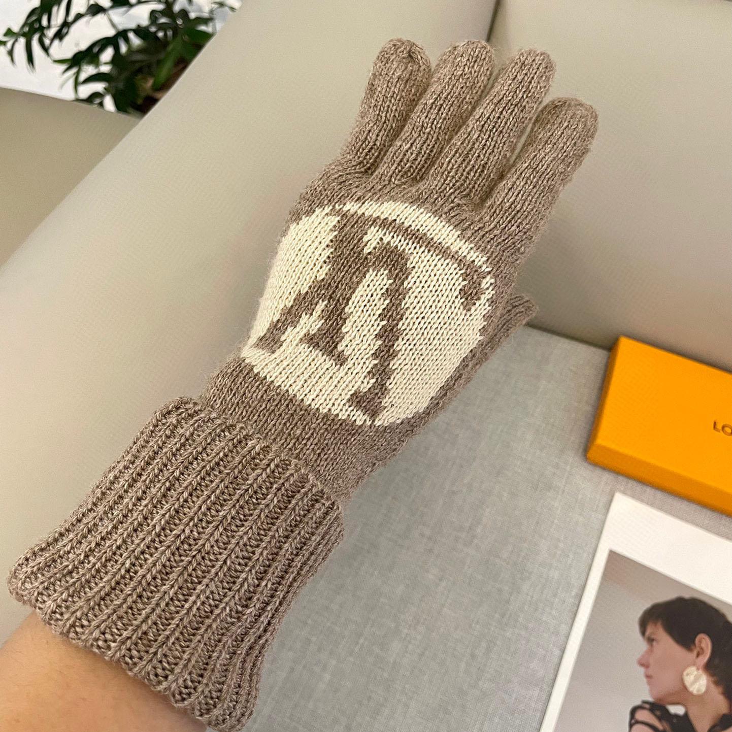 Louis Vuitton LV Medallion Gloves - EUR FASHION