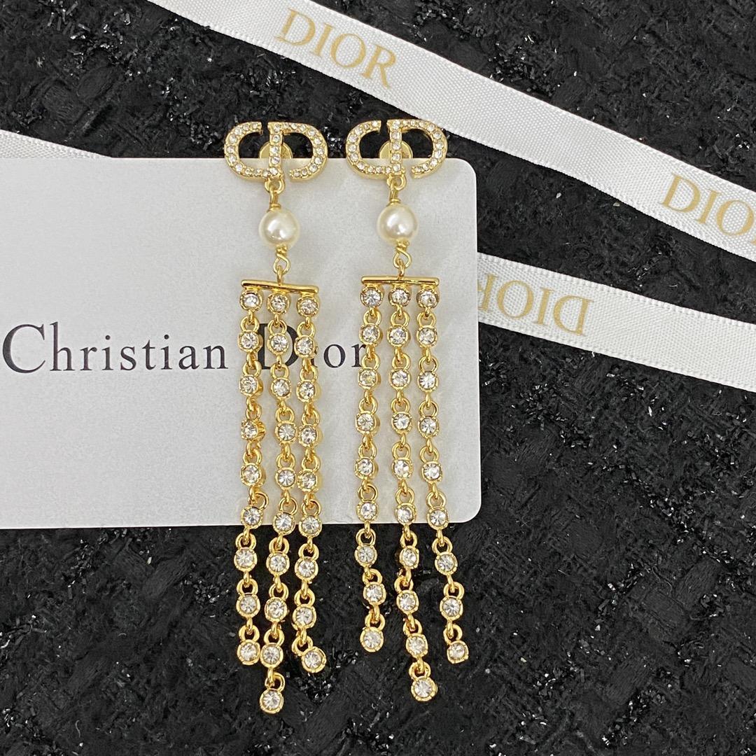 Dior Earrings - EUR FASHION