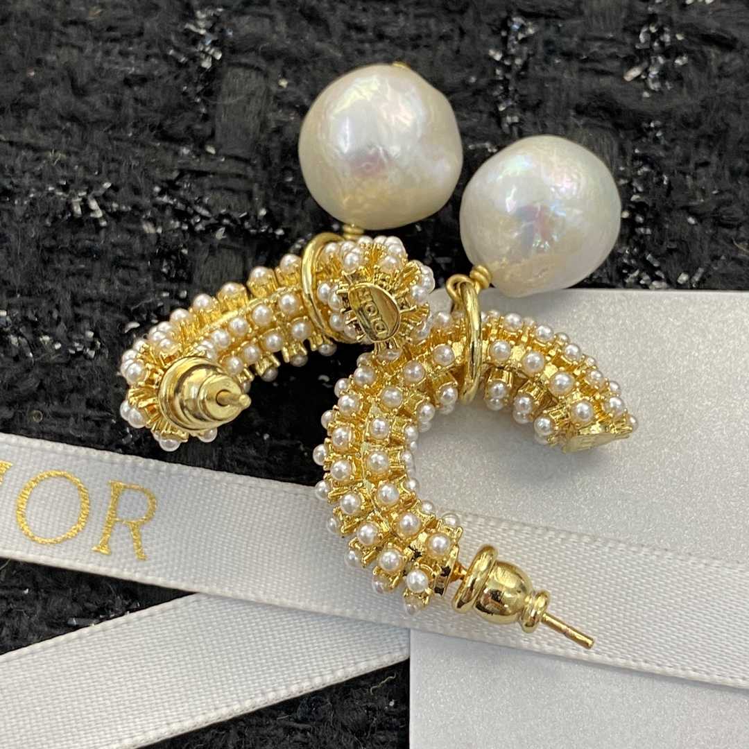 Dior Earrings - EUR FASHION