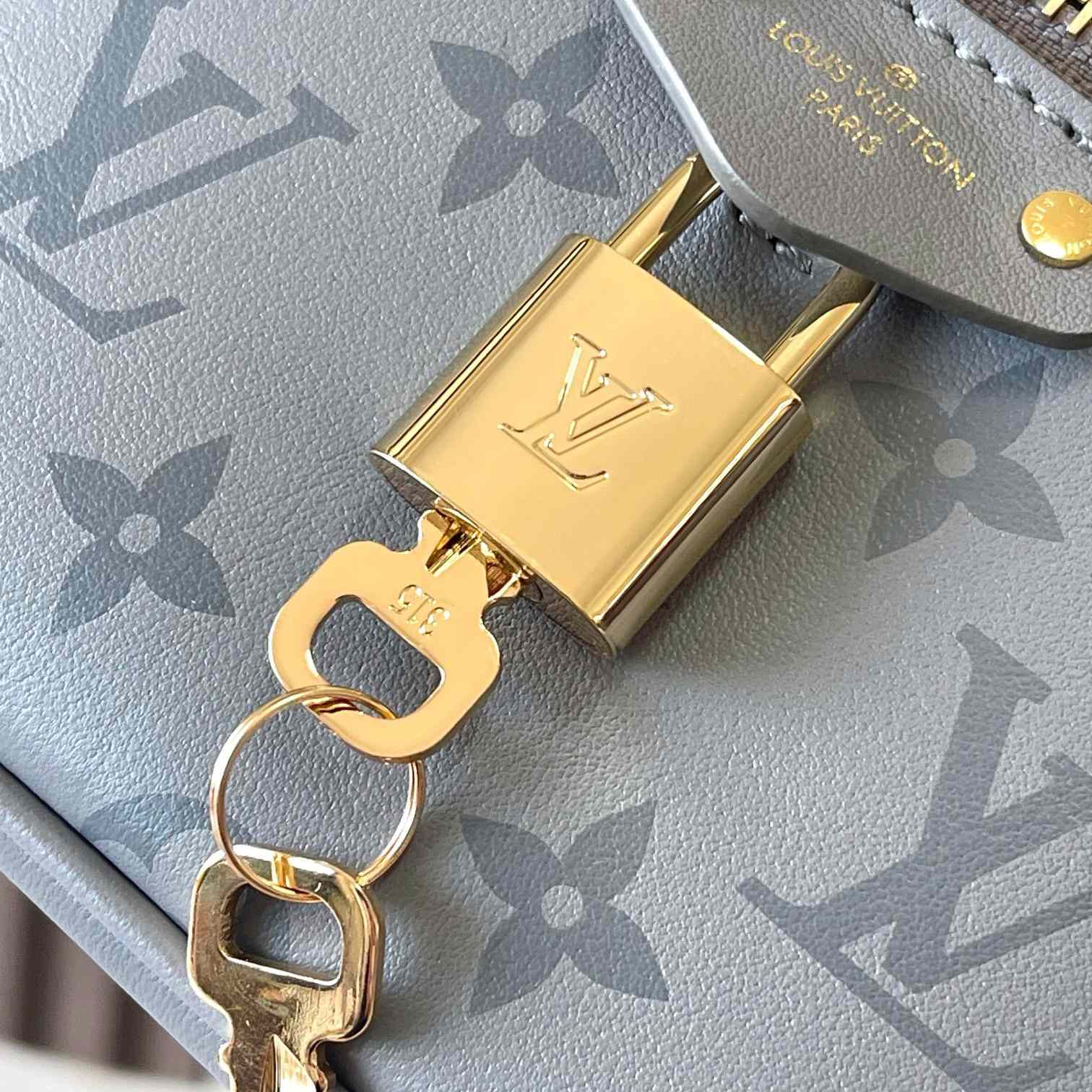 Louis Vuitton Vanity Chain Pouch    M12427 - EUR FASHION