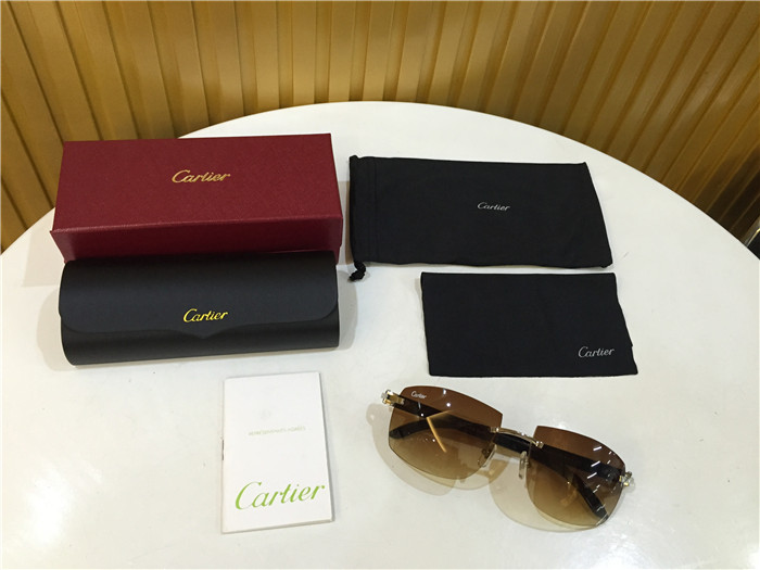 Cartier 4189705 White Mix Black Buffalo Sunglasses In Silver - EUR FASHION