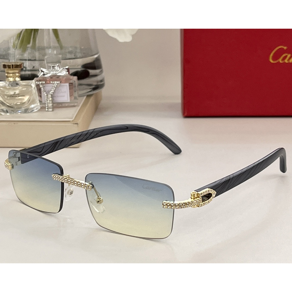 Cartier Sunglasses     CT0144 - EUR FASHION