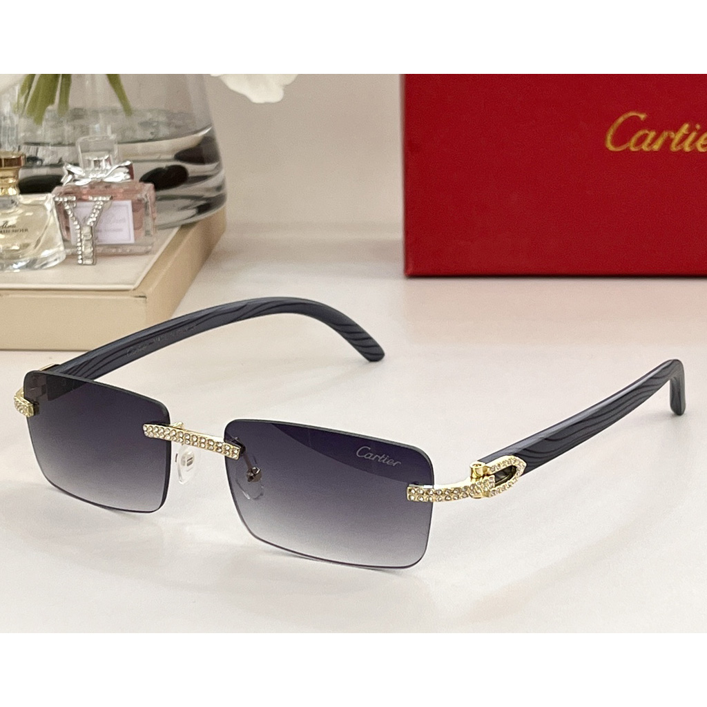 Cartier Sunglasses     CT0144 - EUR FASHION