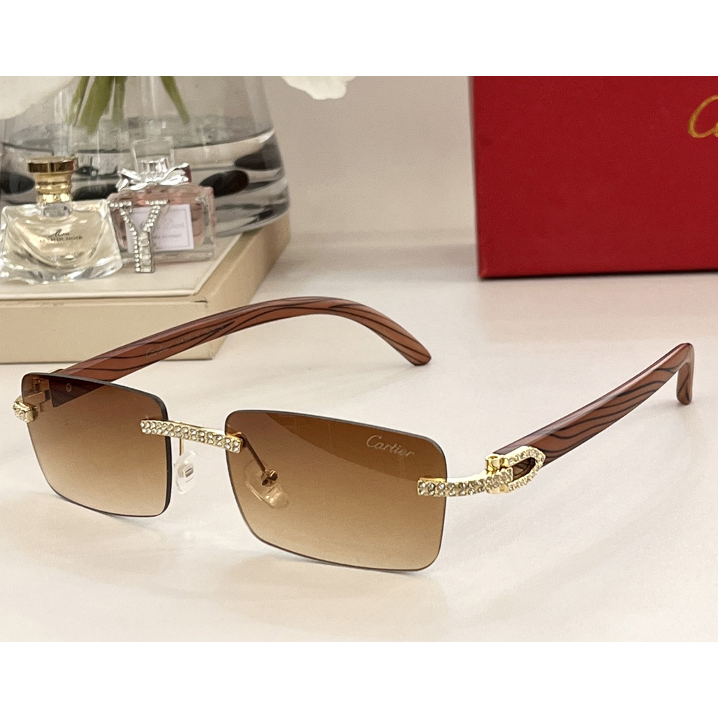 Cartier Sunglasses     CT0144 - EUR FASHION