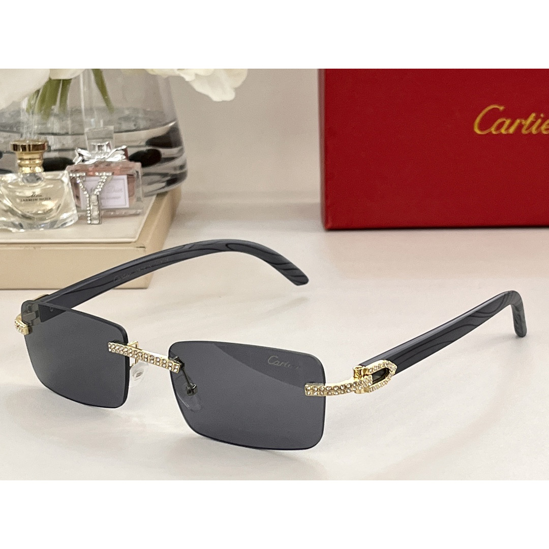 Cartier Sunglasses     CT0144 - EUR FASHION