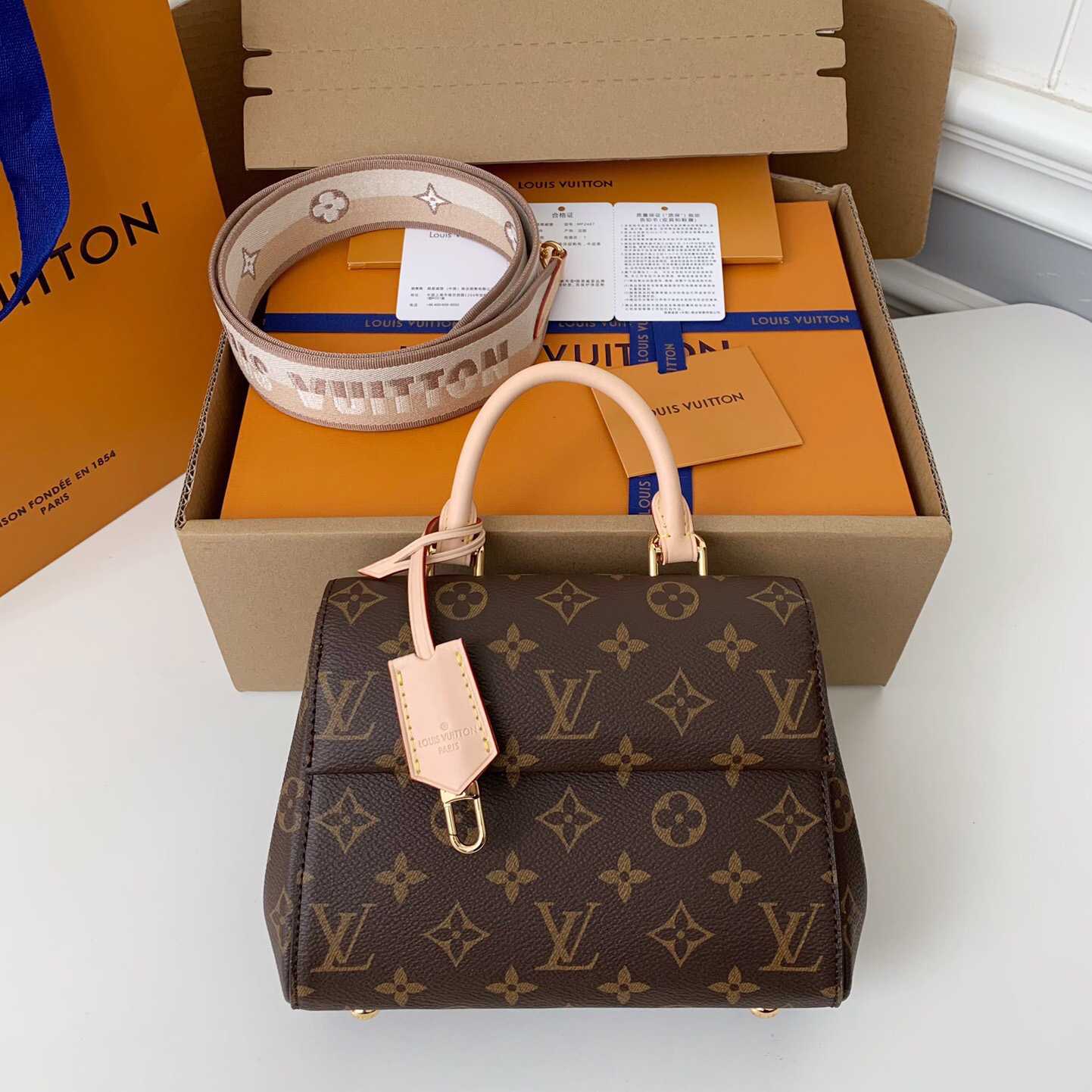 Louis Vuitton Cluny Mini Handbag  (20*16*7.5cm)    M46055 - EUR FASHION