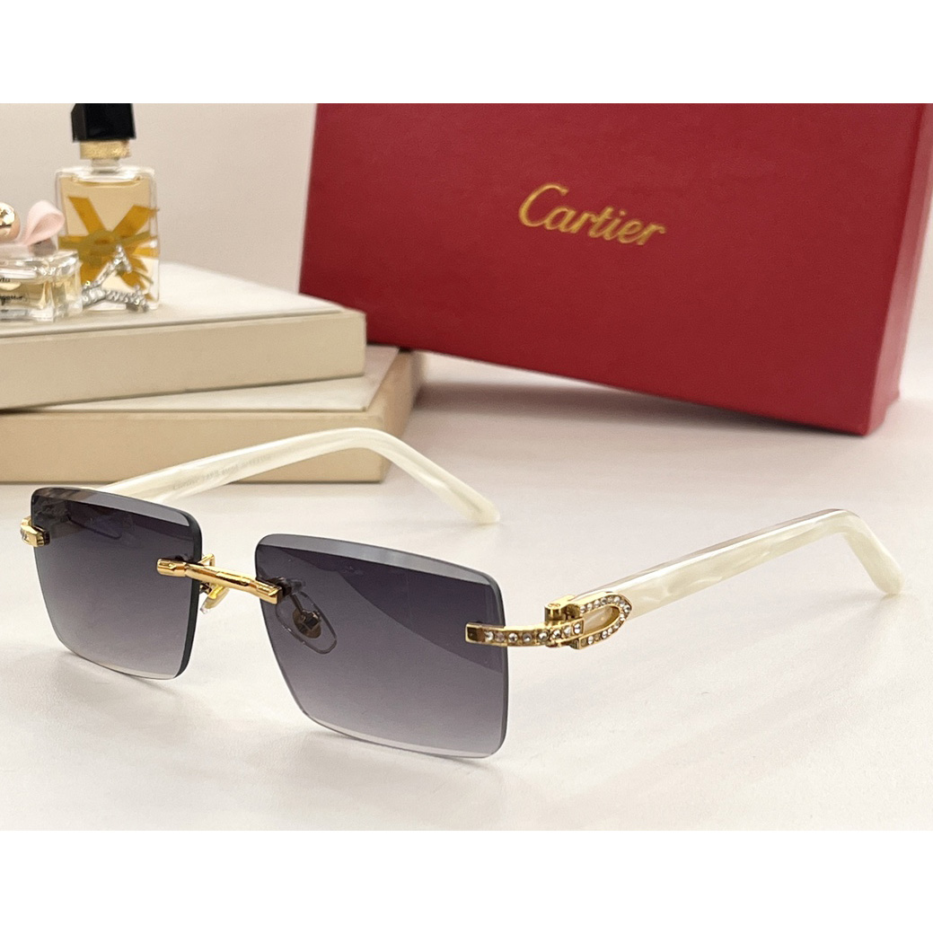 Cartier Sunglasses    CT00521 - EUR FASHION