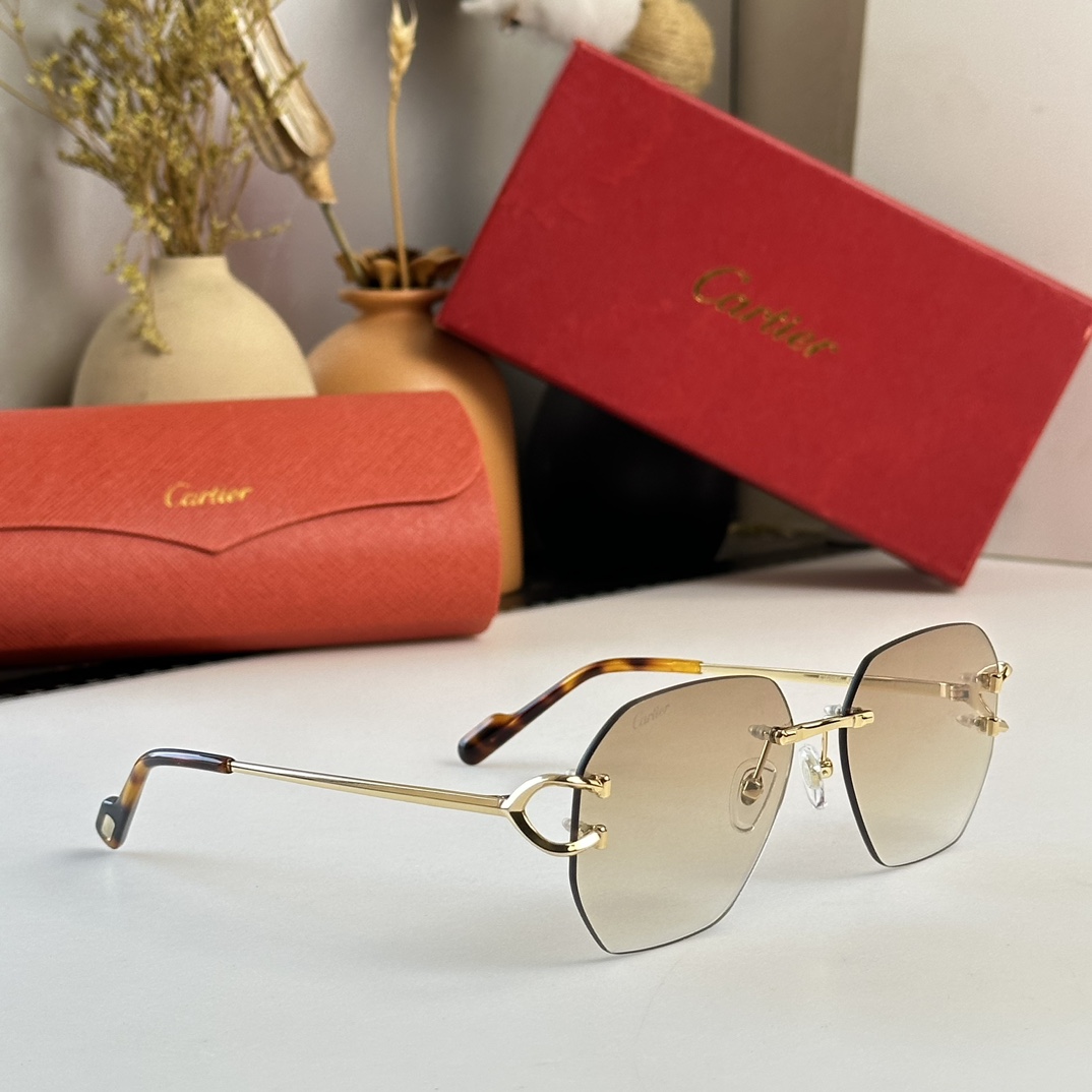 Cartier Sunglasses      CT0386S - EUR FASHION