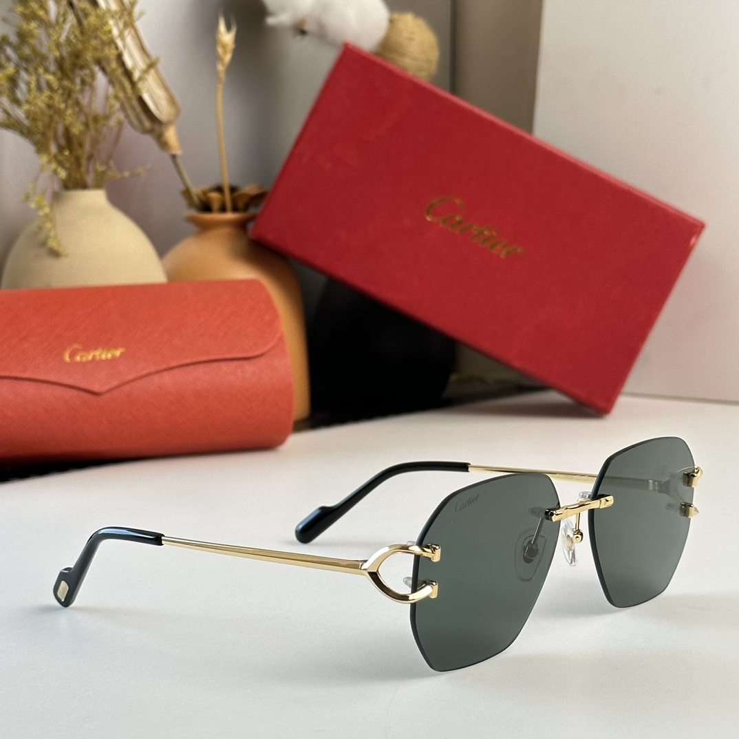 Cartier Sunglasses      CT0386S - EUR FASHION