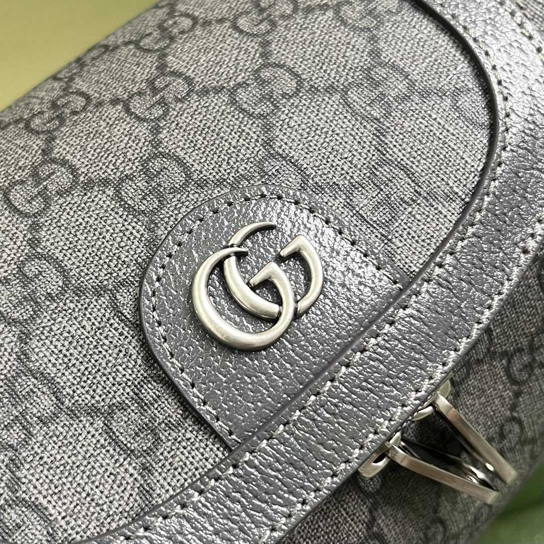 Gucci Ophidia Toiletry Case  (24-13-28cm) - EUR FASHION