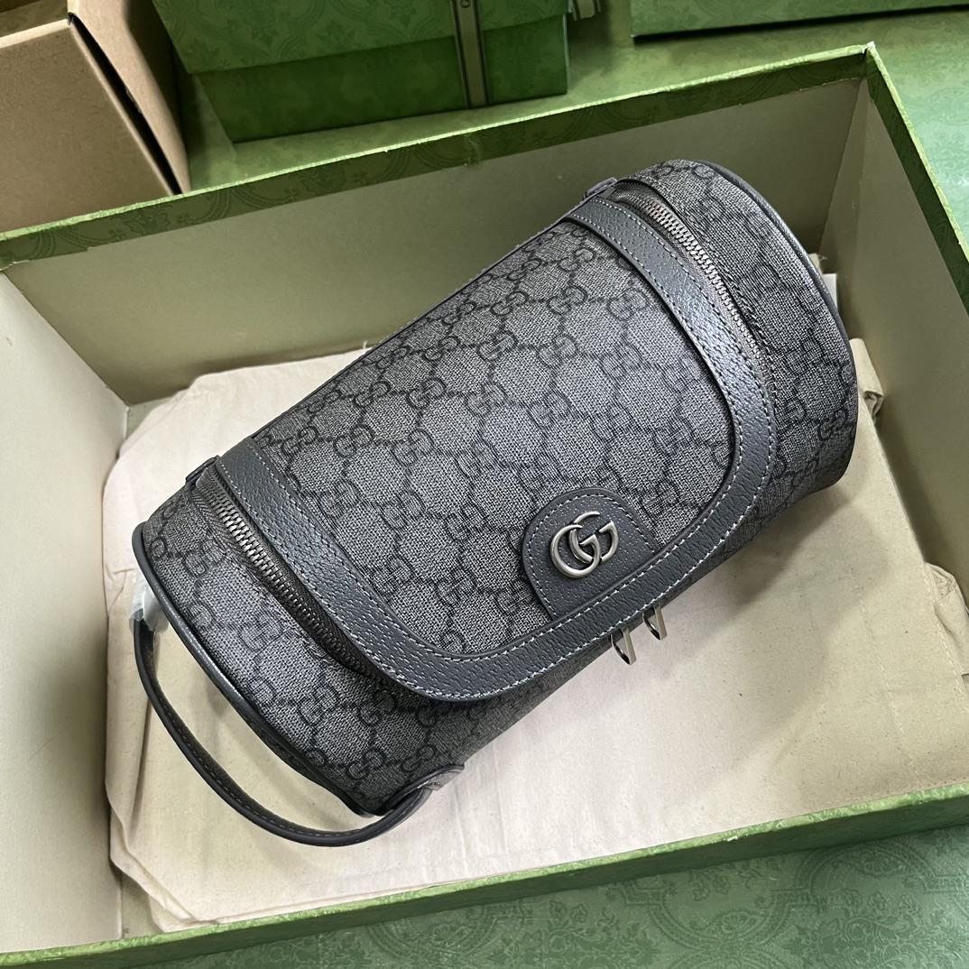 Gucci Ophidia Toiletry Case  (24-13-28cm) - EUR FASHION