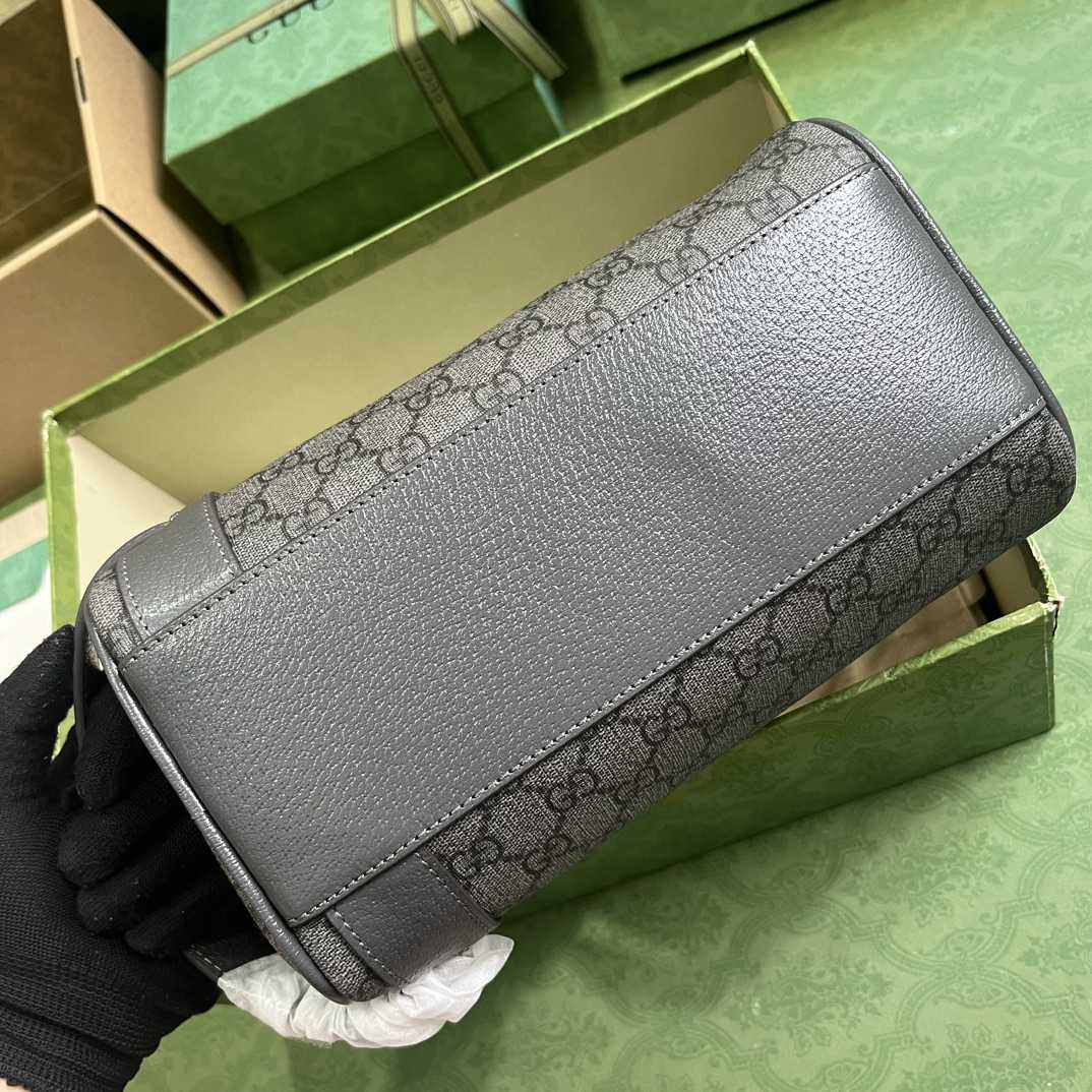 Gucci Ophidia Toiletry Case  (24-13-28cm) - EUR FASHION