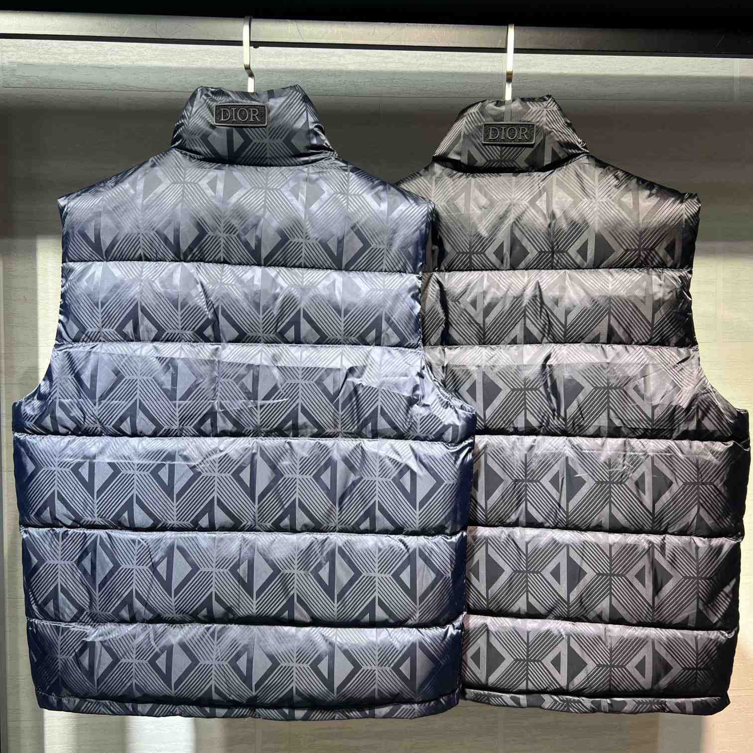 Dior Sleeveless Down Jacket - EUR FASHION