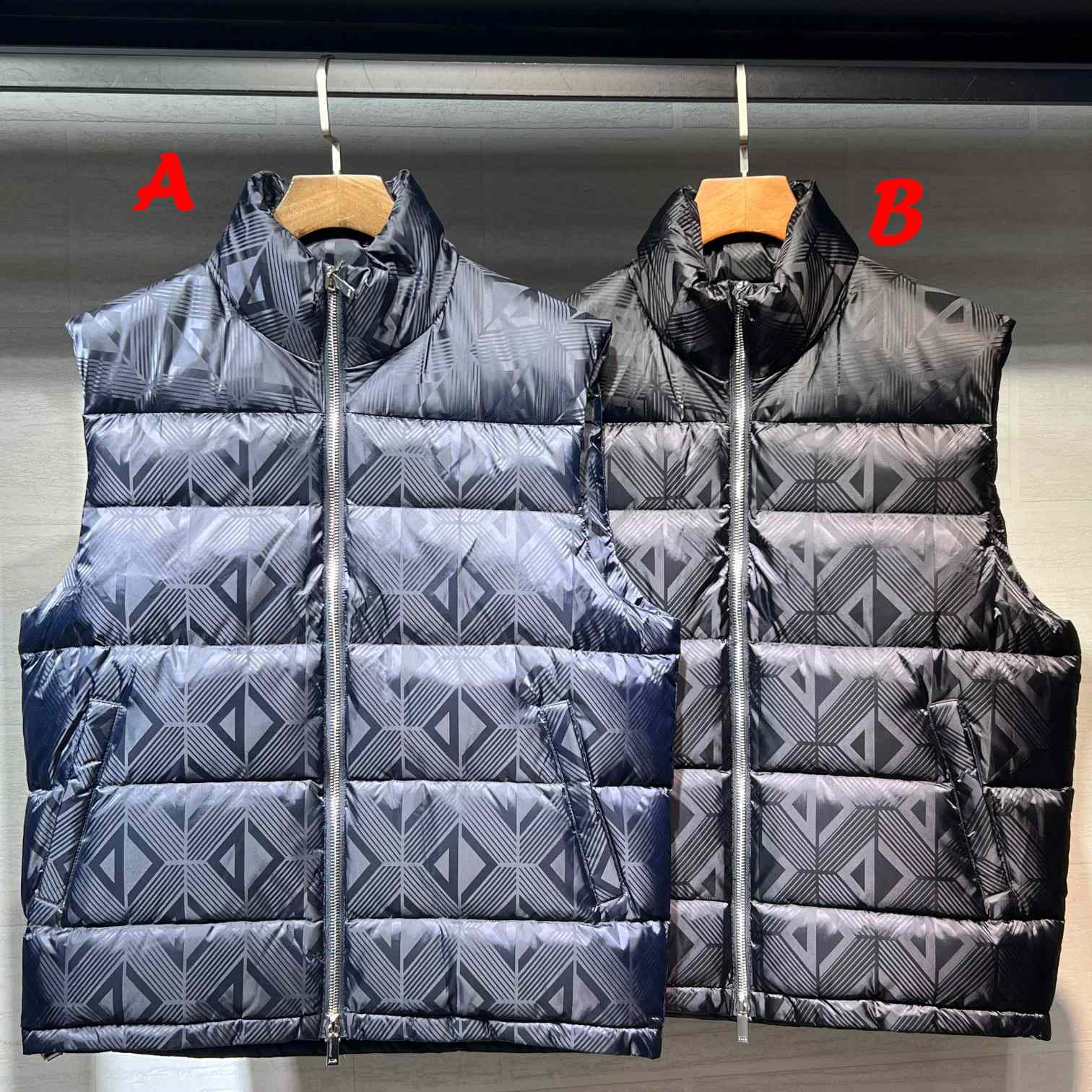 Dior Sleeveless Down Jacket - EUR FASHION