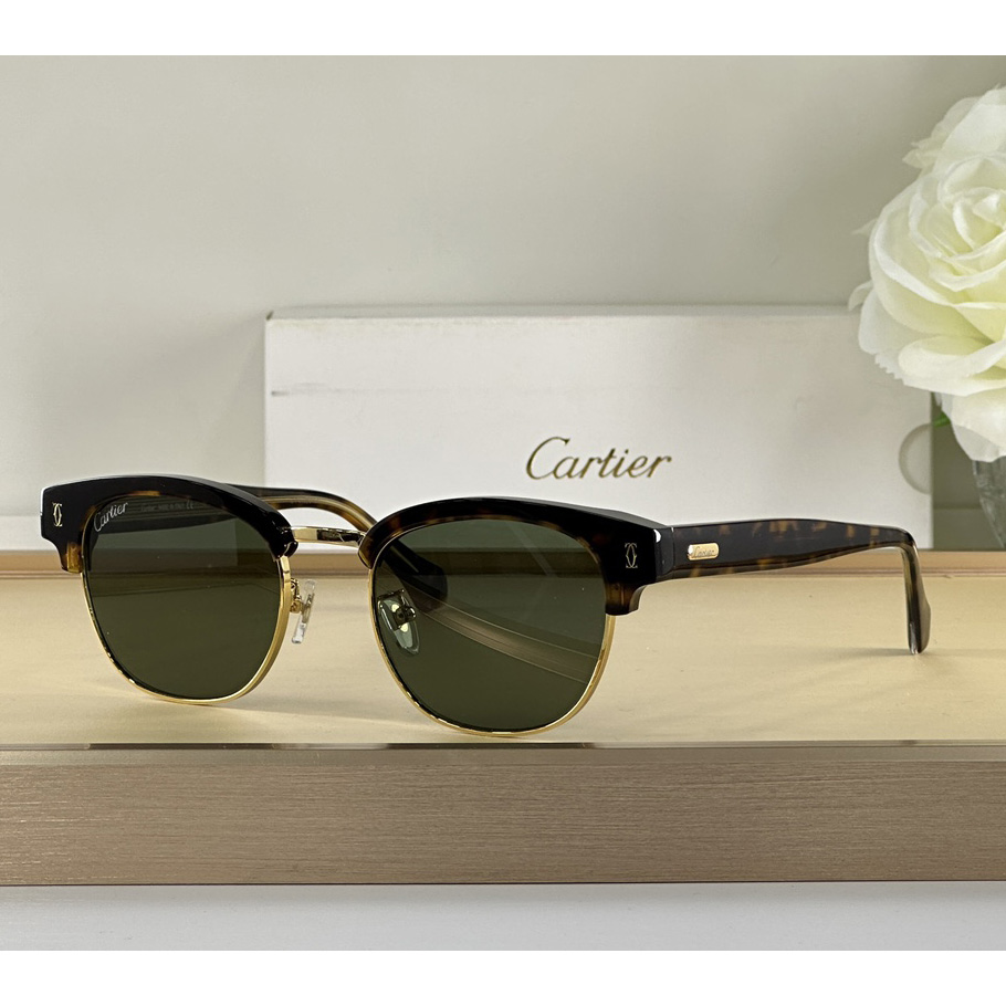 Cartier D-Frame Tortoiseshell Acetate Sunglasses   CT0366 - EUR FASHION