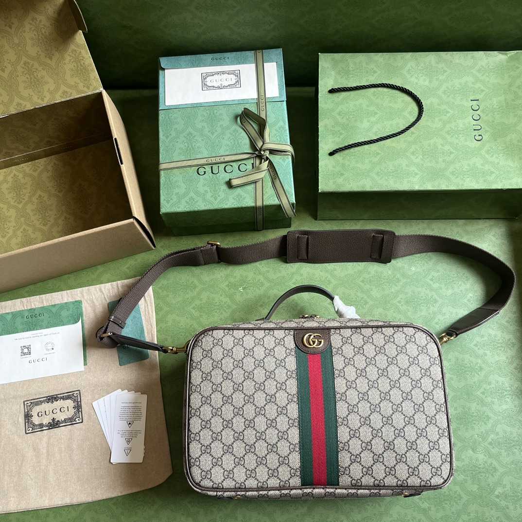 Gucci Savoy Shoe Case  (22x 36x 16cm) - EUR FASHION