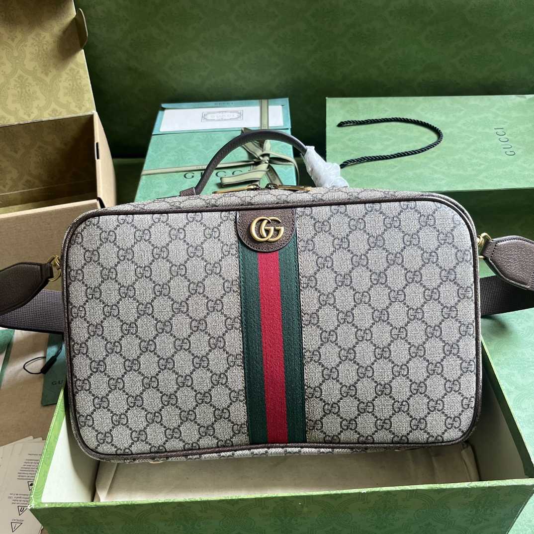 Gucci Savoy Shoe Case  (22x 36x 16cm) - EUR FASHION