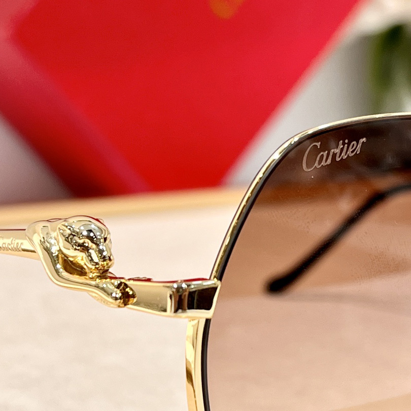 Cartier CT0267 Sunglasses - EUR FASHION