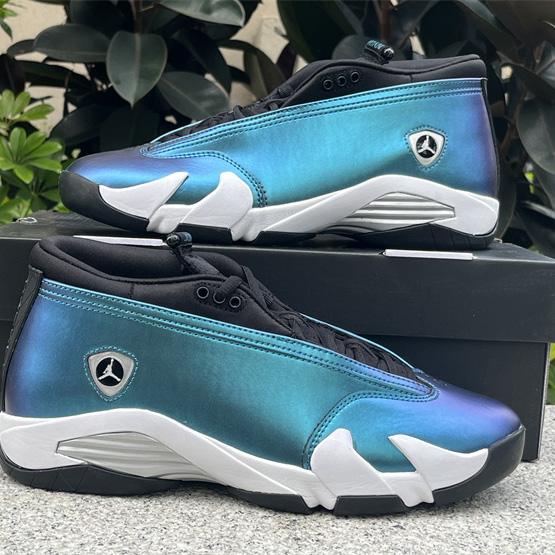 Jordan Air Jordan 14 Low 