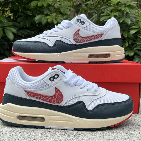 Nike Air Max 1 Sneaker    DH1348-146 - EUR FASHION