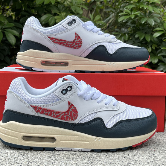 Nike Air Max 1 Sneaker    DH1348-146 - EUR FASHION