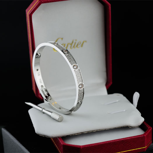 Cartier Bracelet - EUR FASHION