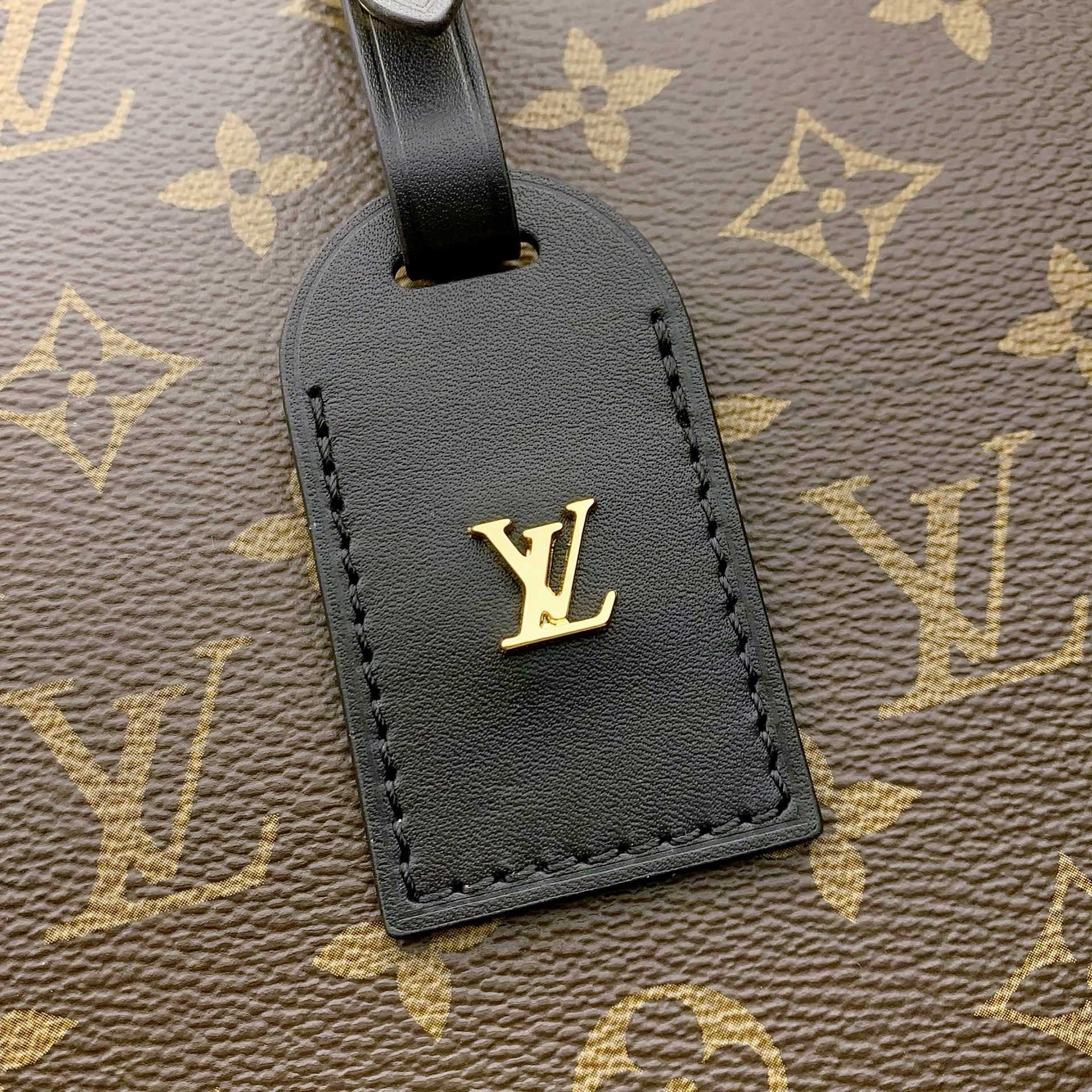 Louis Vuitton Odéon MM  M45355 - EUR FASHION