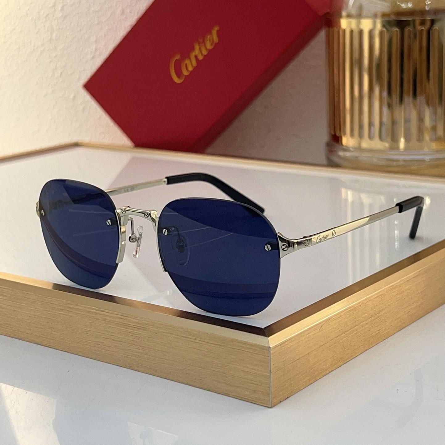 Cartier CT0459S Sunglasses    - EUR FASHION