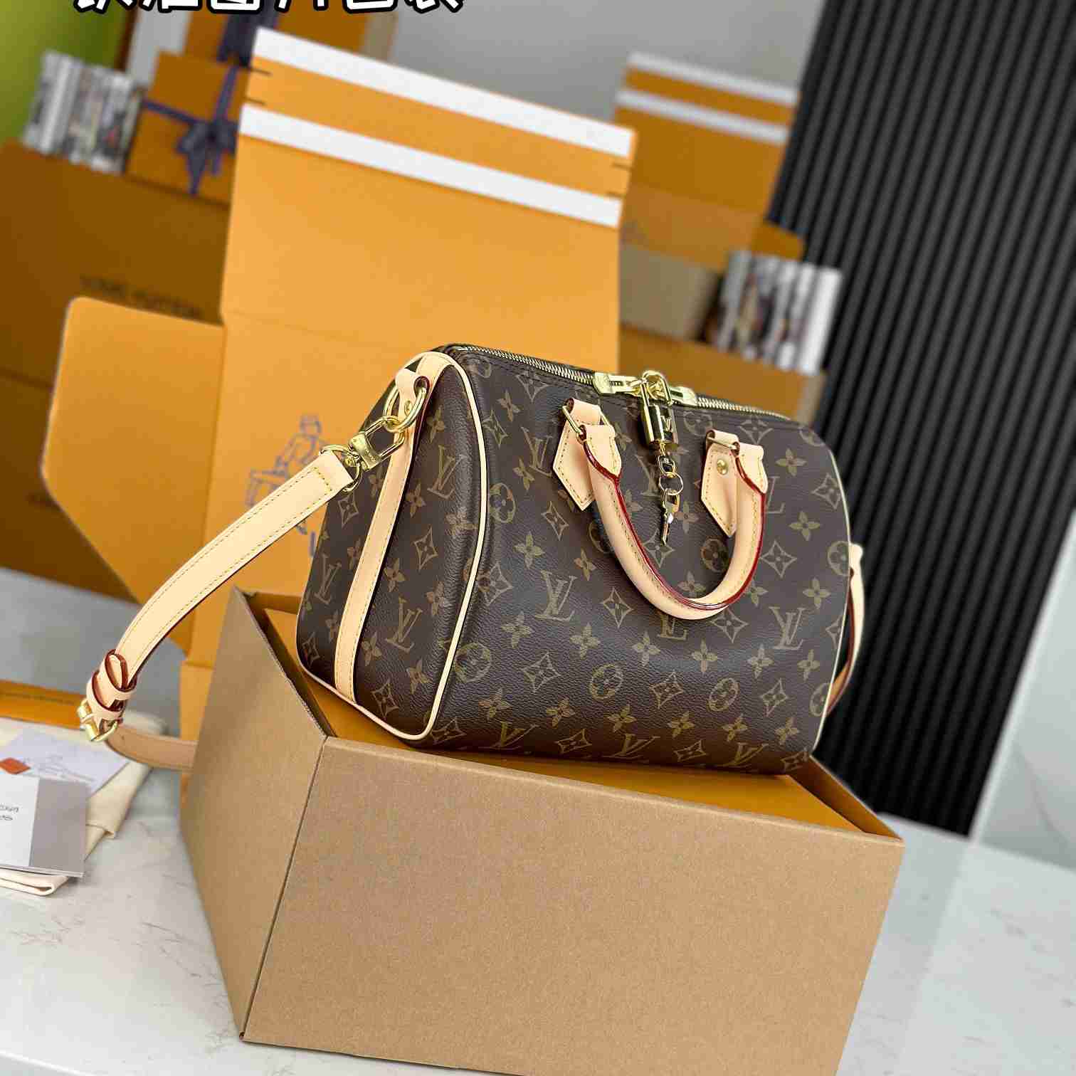 Louis Vuitton Speedy 25  M41113 - EUR FASHION