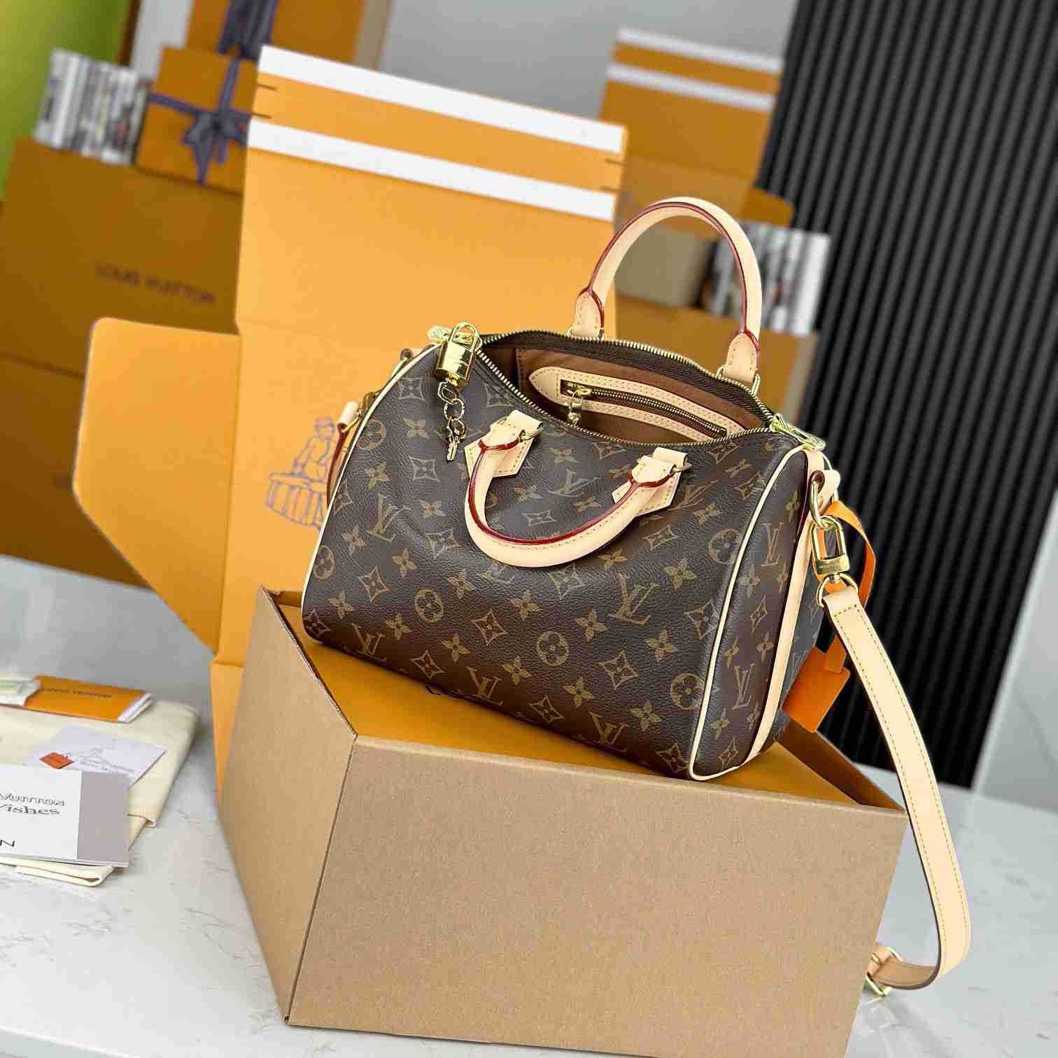 Louis Vuitton Speedy 25  M41113 - EUR FASHION