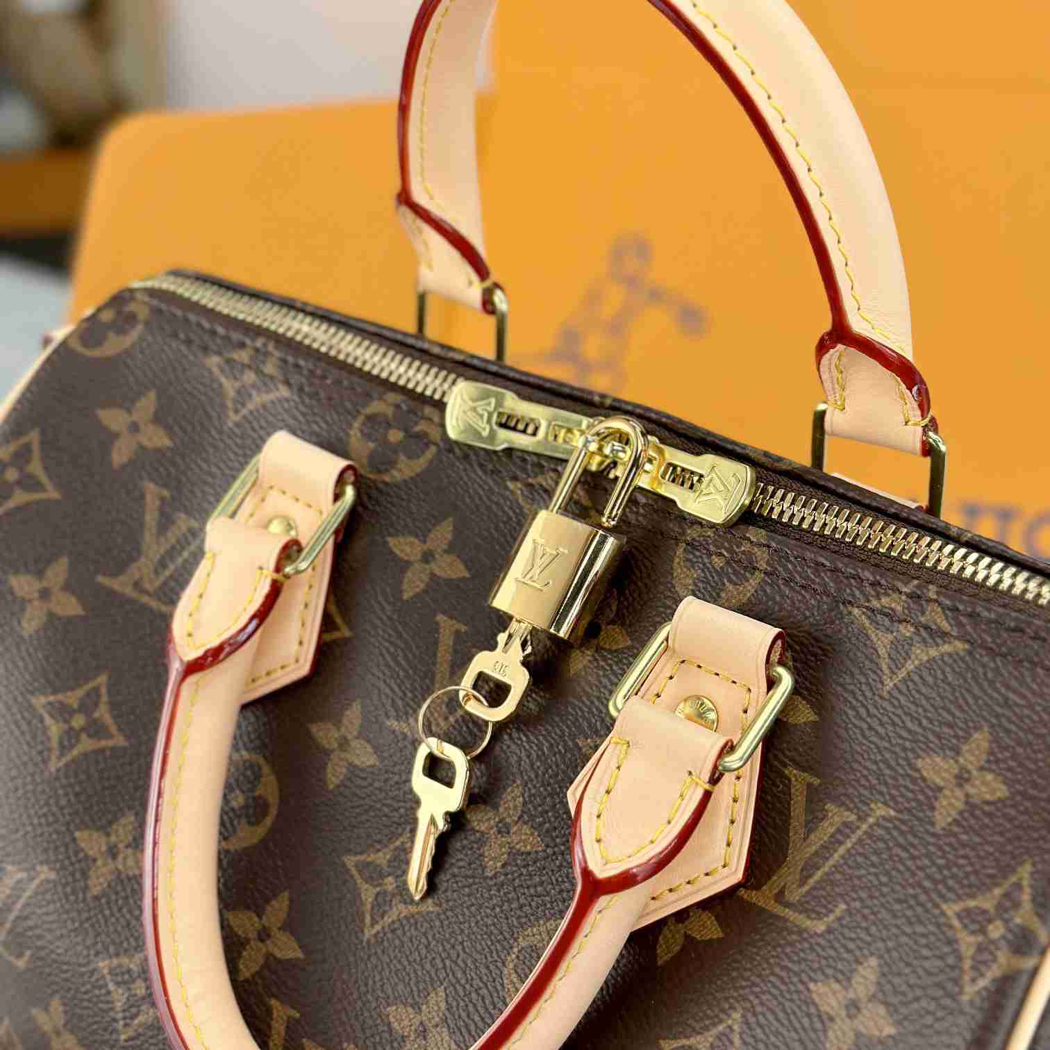 Louis Vuitton Speedy 25  M41113 - EUR FASHION