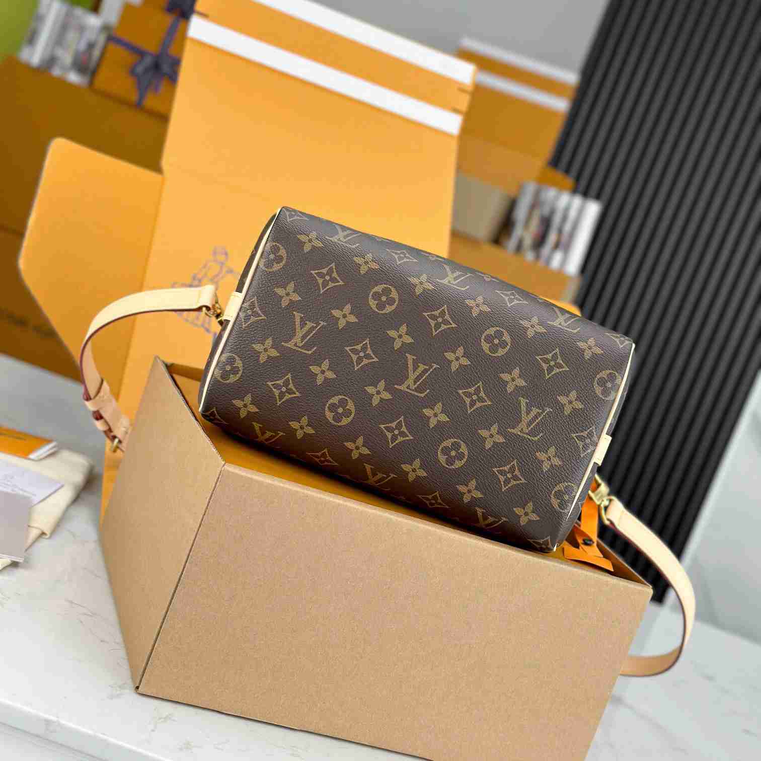 Louis Vuitton Speedy 25  M41113 - EUR FASHION