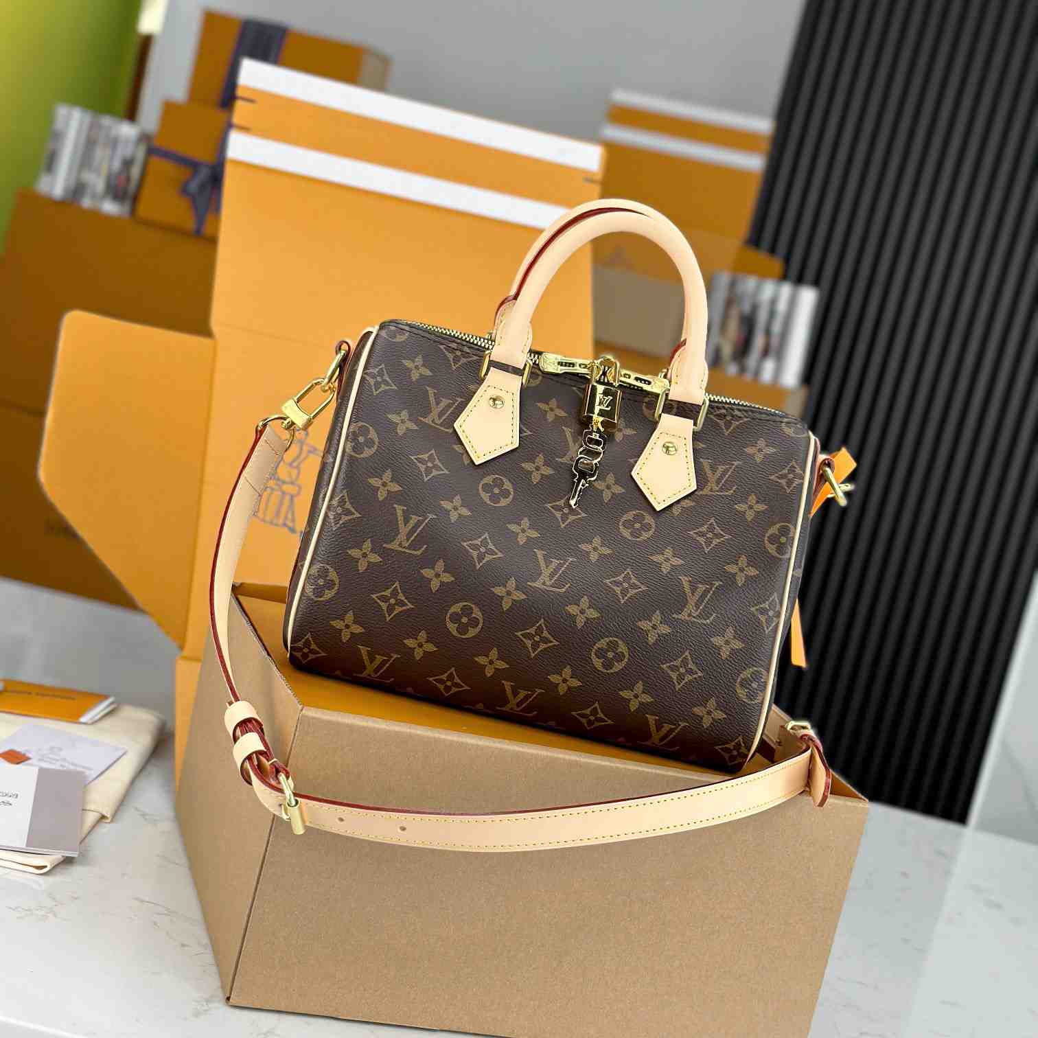 Louis Vuitton Speedy 25  M41113 - EUR FASHION