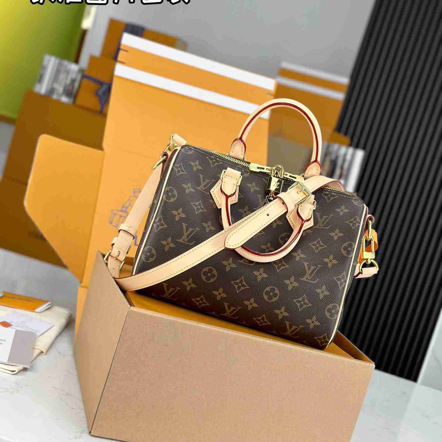 Louis Vuitton Speedy 25  M41113 - EUR FASHION