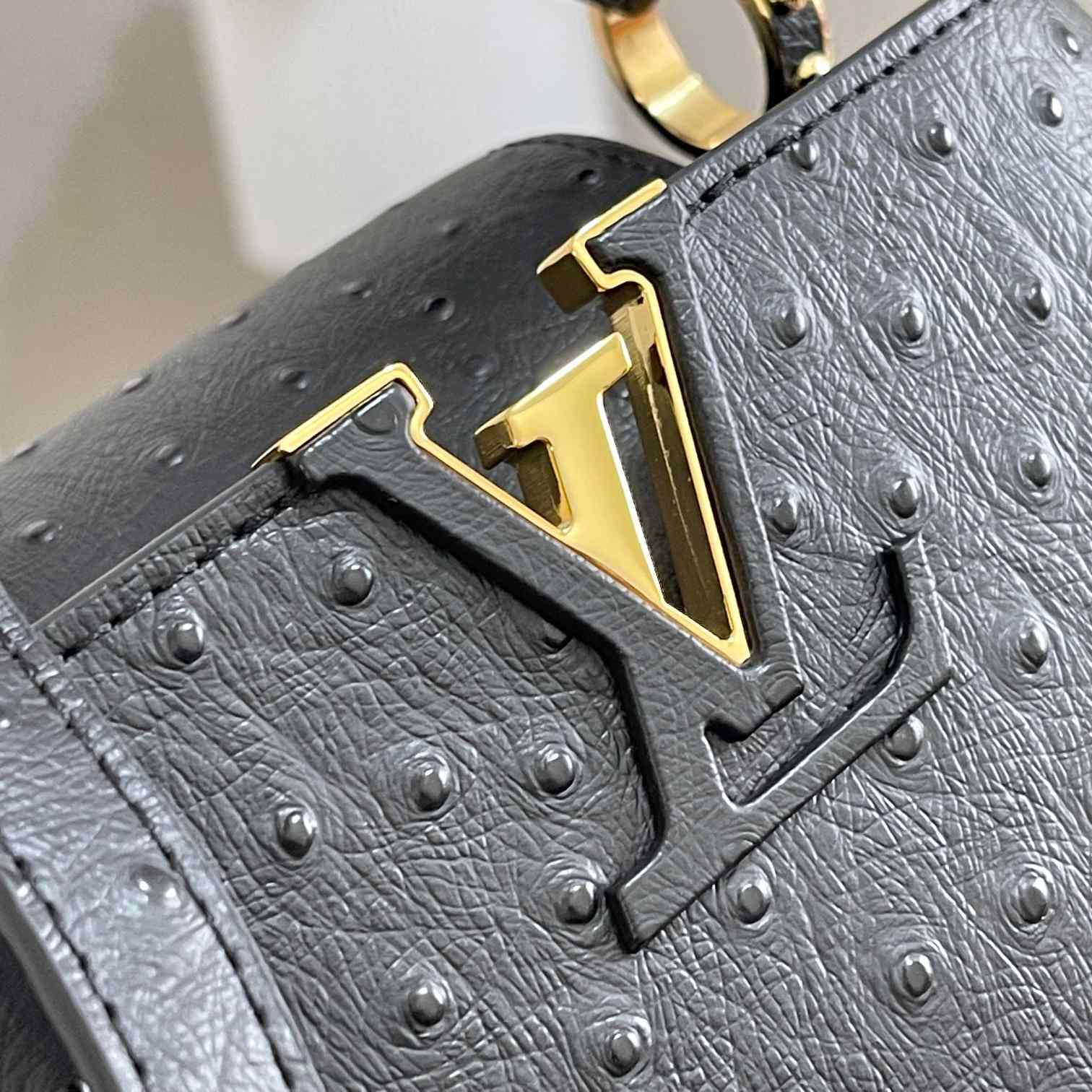 Louis Vuitton Capucines (21*14*8cm)   M48865 - EUR FASHION