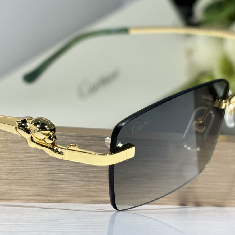 Cartier CT0430S Sunglasses    - EUR FASHION