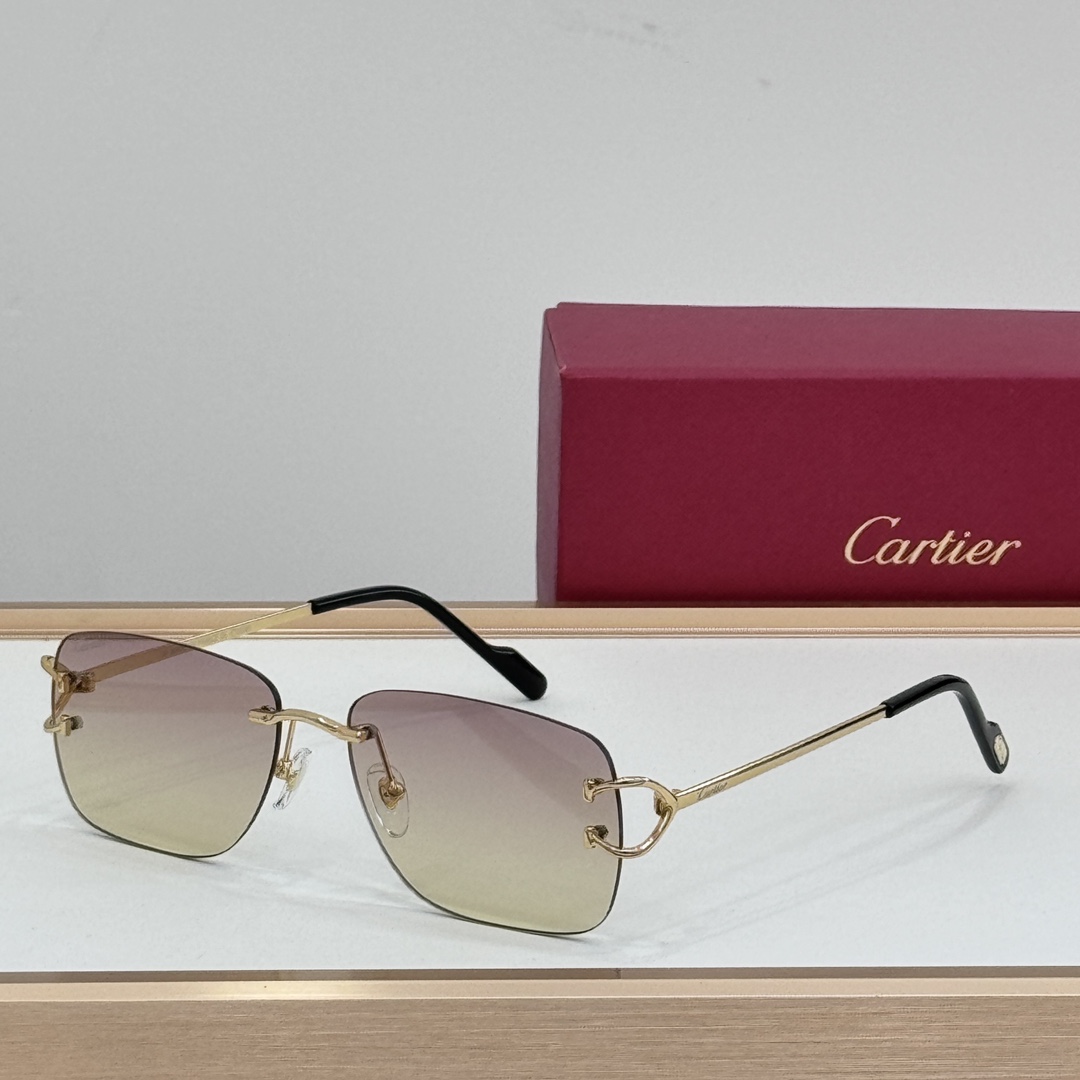 Cartier CT0330S Sunglasses    - EUR FASHION