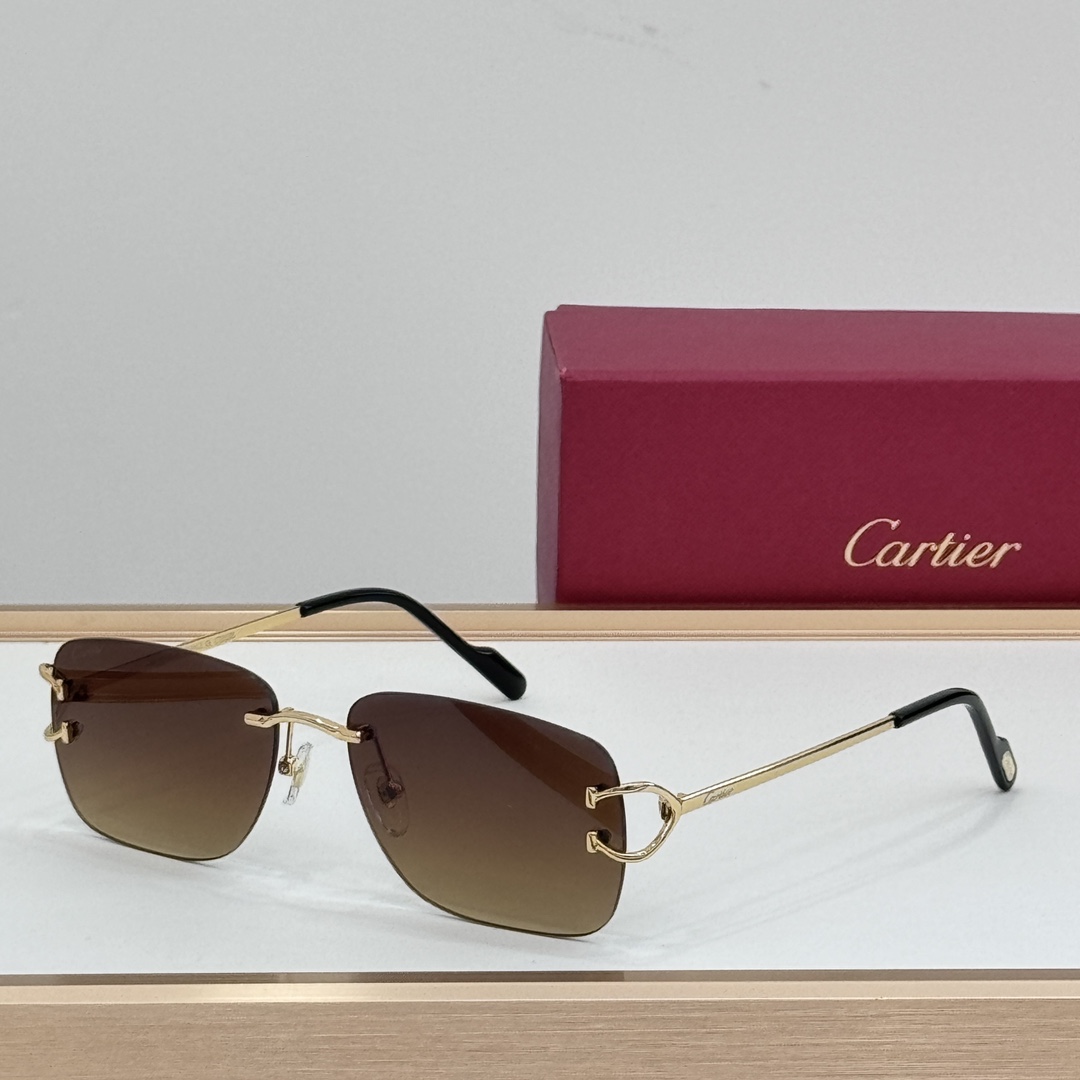 Cartier CT0330S Sunglasses    - EUR FASHION