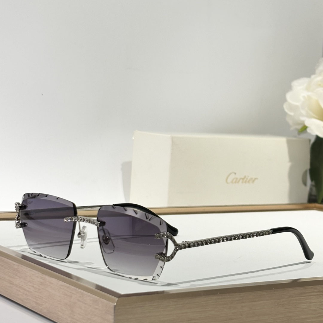 Cartier CT0662S Sunglasses    - EUR FASHION