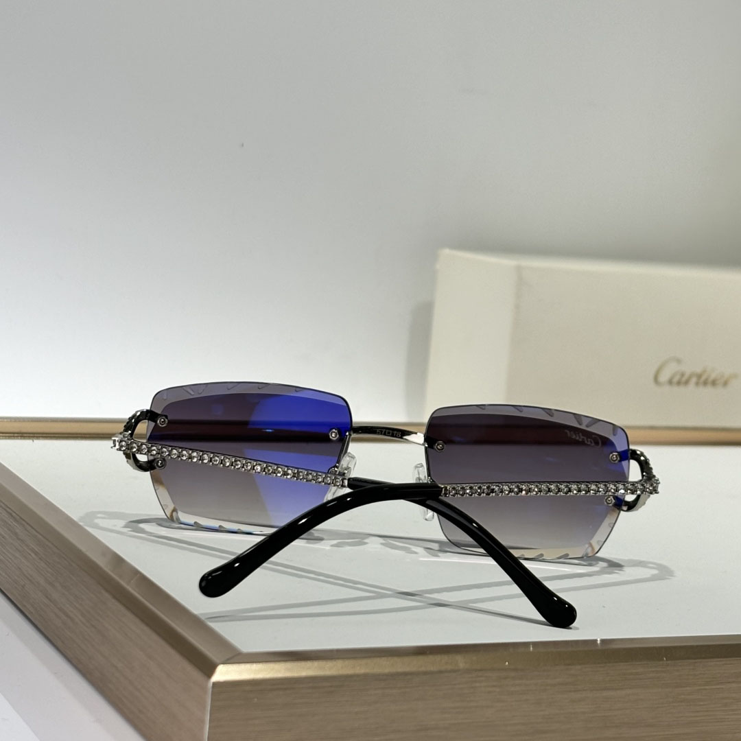 Cartier CT0662S Sunglasses    - EUR FASHION