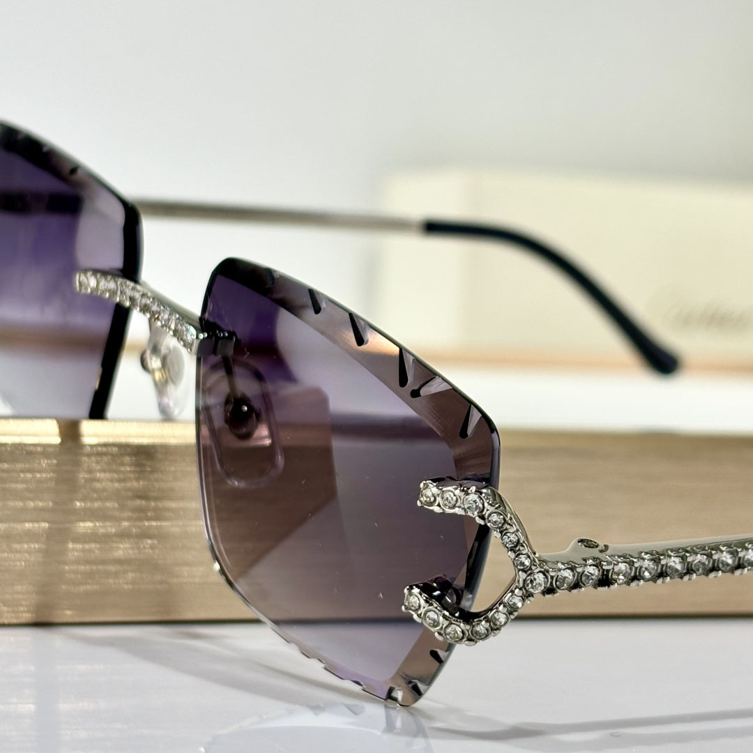 Cartier CT0662S Sunglasses    - EUR FASHION