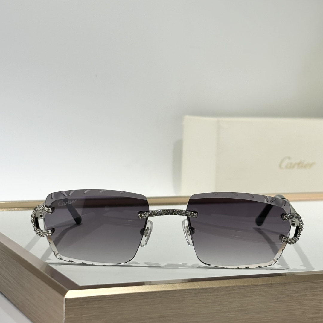 Cartier CT0662S Sunglasses    - EUR FASHION