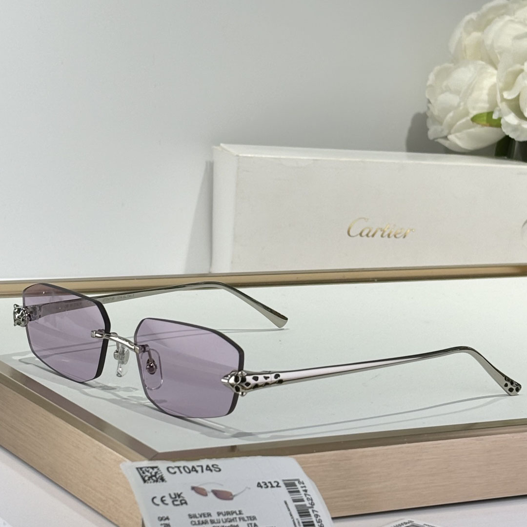 Cartier CT0474S Sunglasses    - EUR FASHION