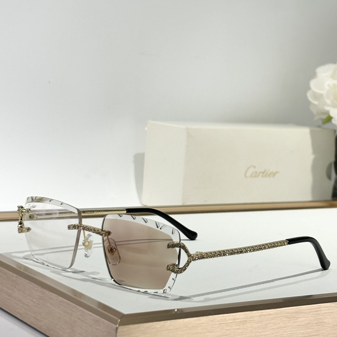 Cartier CT0662S Sunglasses    - EUR FASHION