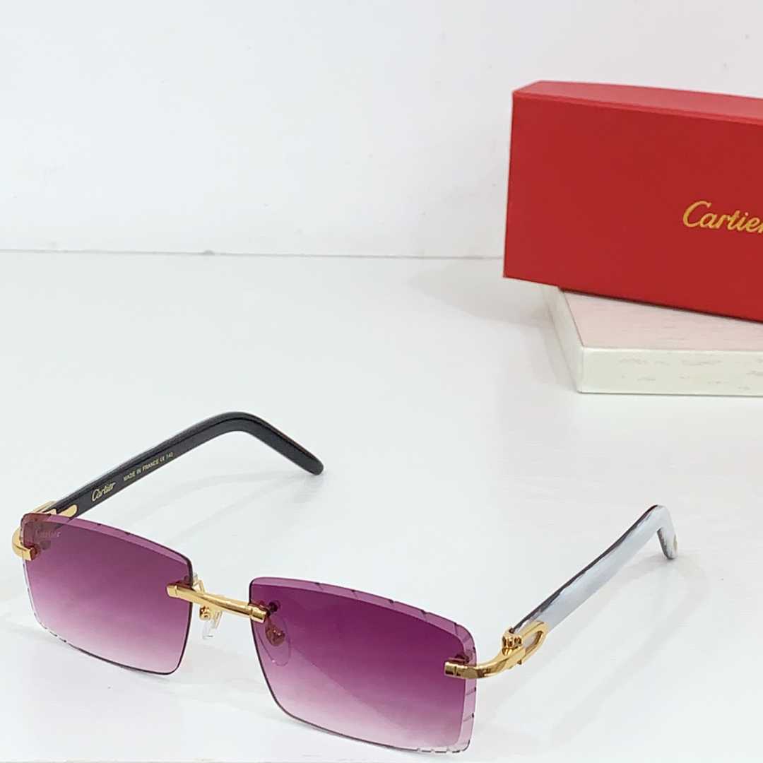 Cartier CT0243S Sunglasses    - EUR FASHION