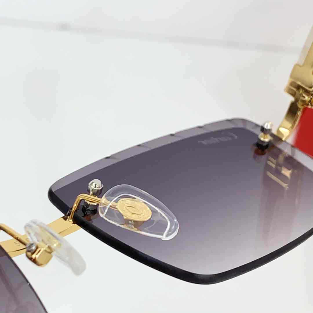 Cartier CT0243S Sunglasses    - EUR FASHION